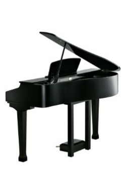 Kurzweil Home KAG100 88 Note